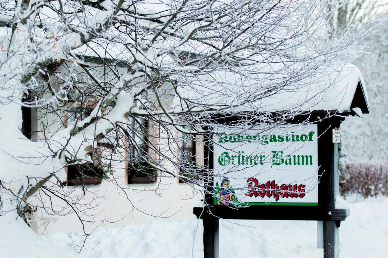 Hotel & Restaurant Gruener Baum - Die Gruene Oase Am Feldberg Feldberg  Exterior photo